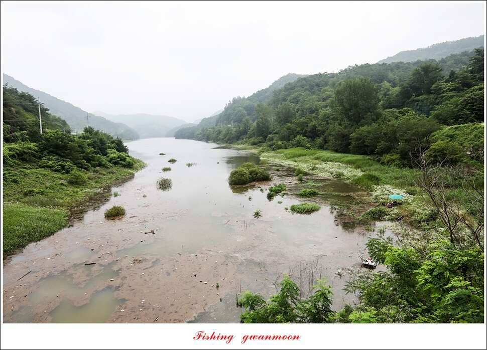 돌감실리곡한버들화곡지 조황 (조황조행기 - 특파원조황)