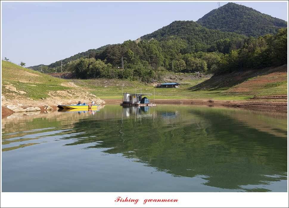 한버들 43 cm 40 cm실리곡 43 cm 사짜 대물 (조황조행기 - 특파원조황)