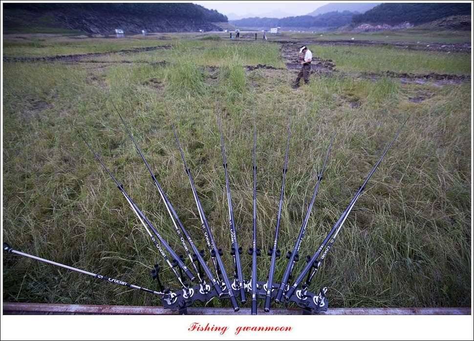 병호 45 cm제일 43 cm 외3 수한버들 42 cm (조황조행기 - 특파원조황)
