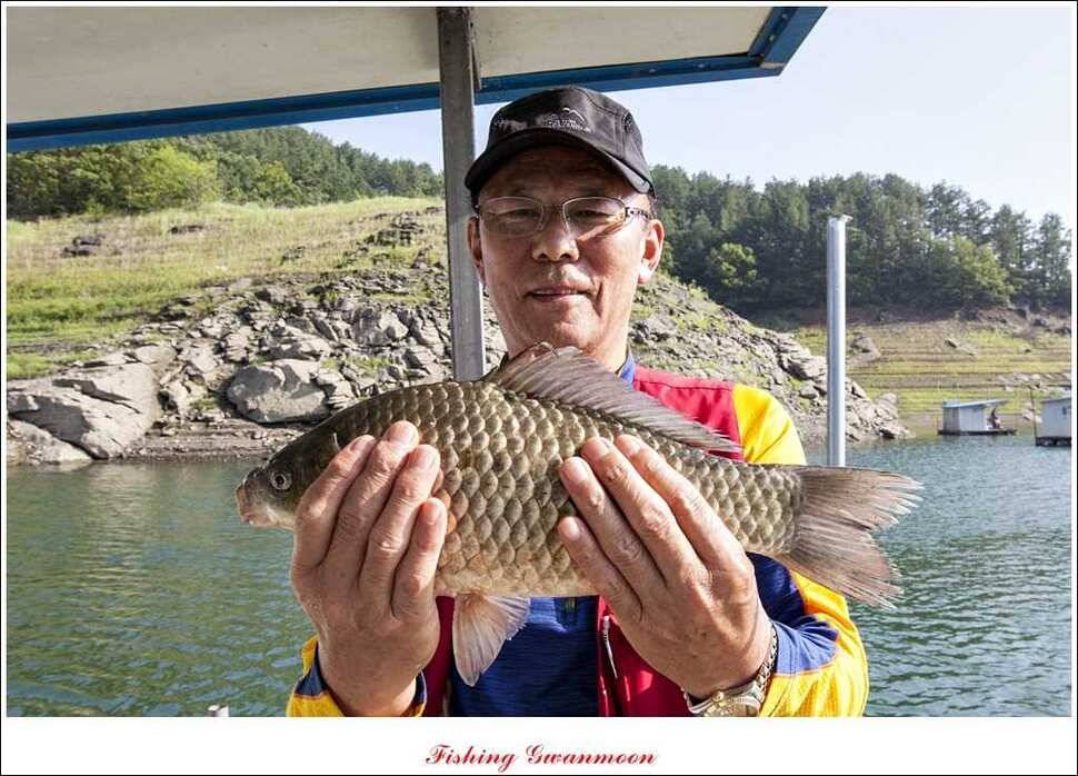 윤 375 cm 월척과 충주호 조황 (조황조행기 - 특파원조황)