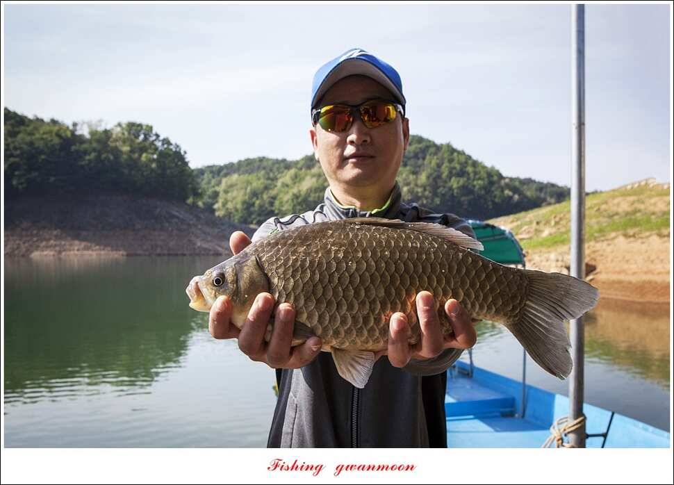한버들 43 cm 40 cm실리곡 43 cm 사짜 대물 (조황조행기 - 특파원조황)