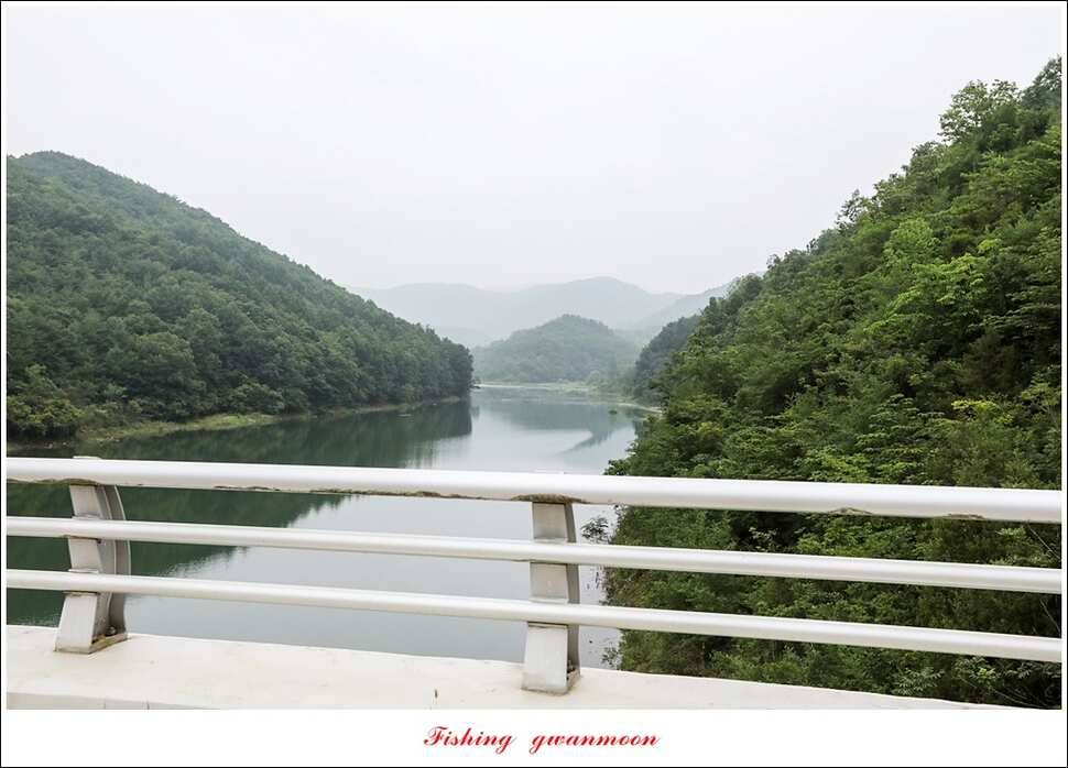 돌감실리곡한버들화곡지 조황 (조황조행기 - 특파원조황)