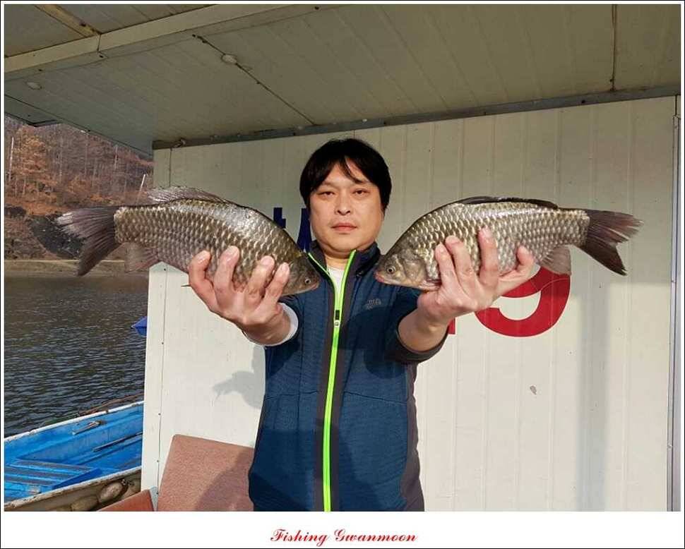 충주호 주말 조황 (조황조행기 - 특파원조황)