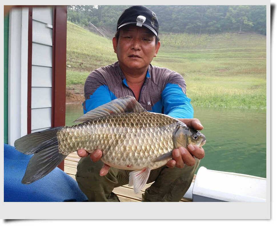 충주호충주호충주호 (조황조행기 - 특파원조황)