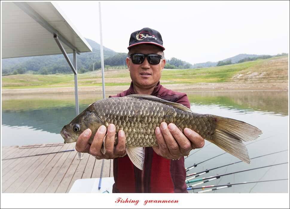 한버들 415 cm39 cm신매 월척 조황 (조황조행기 - 특파원조황)
