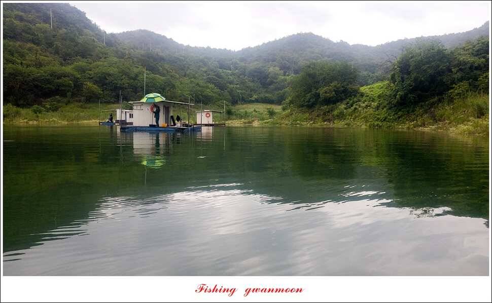 돌감실리곡한버들화곡지 조황 (조황조행기 - 특파원조황)