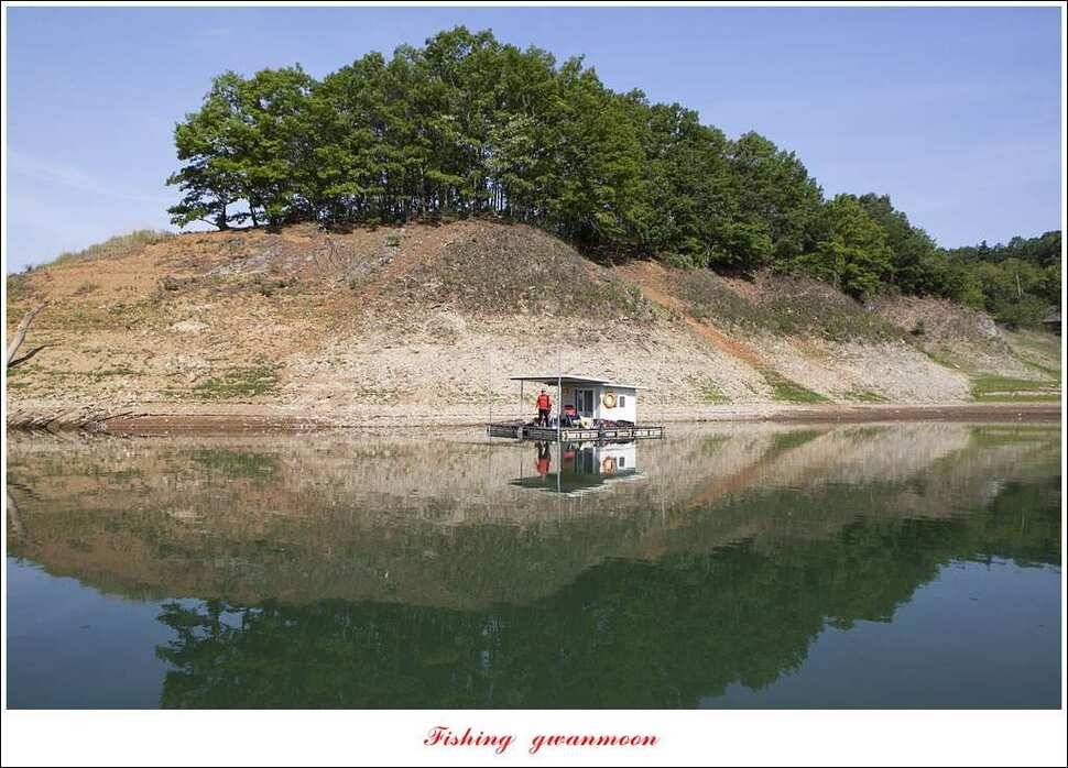 한버들 43 cm 40 cm실리곡 43 cm 사짜 대물 (조황조행기 - 특파원조황)