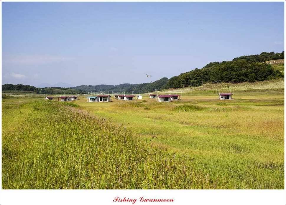 윤 375 cm 월척과 충주호 조황 (조황조행기 - 특파원조황)