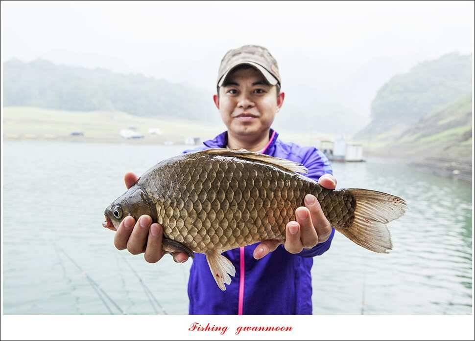 문골 41 cm 사짜 대물한버들 39 cm 조황 소식 (조황조행기 - 특파원조황)