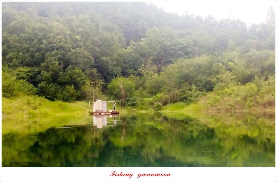 돌감실리곡한버들화곡지 조황 (조황조행기 - 특파원조황)