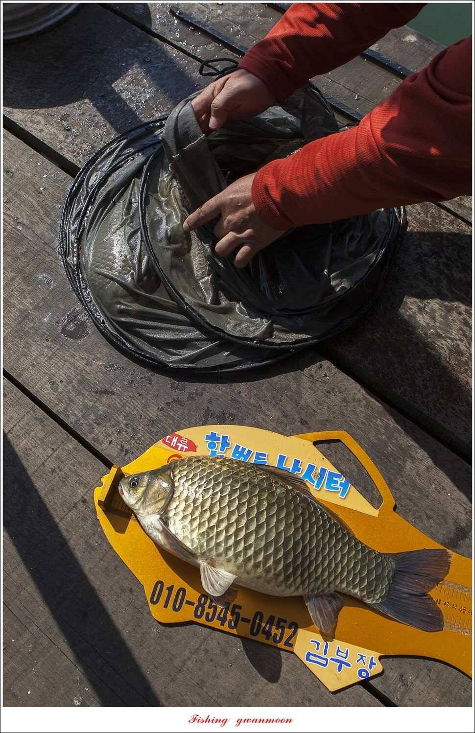 한버들 43 cm 40 cm실리곡 43 cm 사짜 대물 (조황조행기 - 특파원조황)