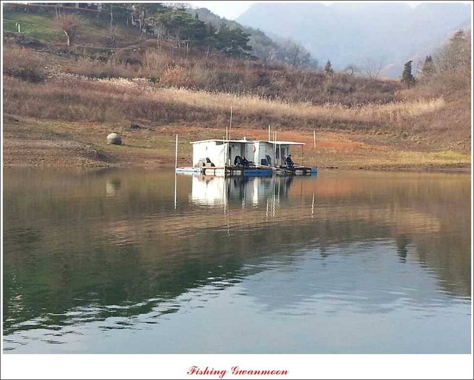 충주호 주말 조황 (조황조행기 - 특파원조황)