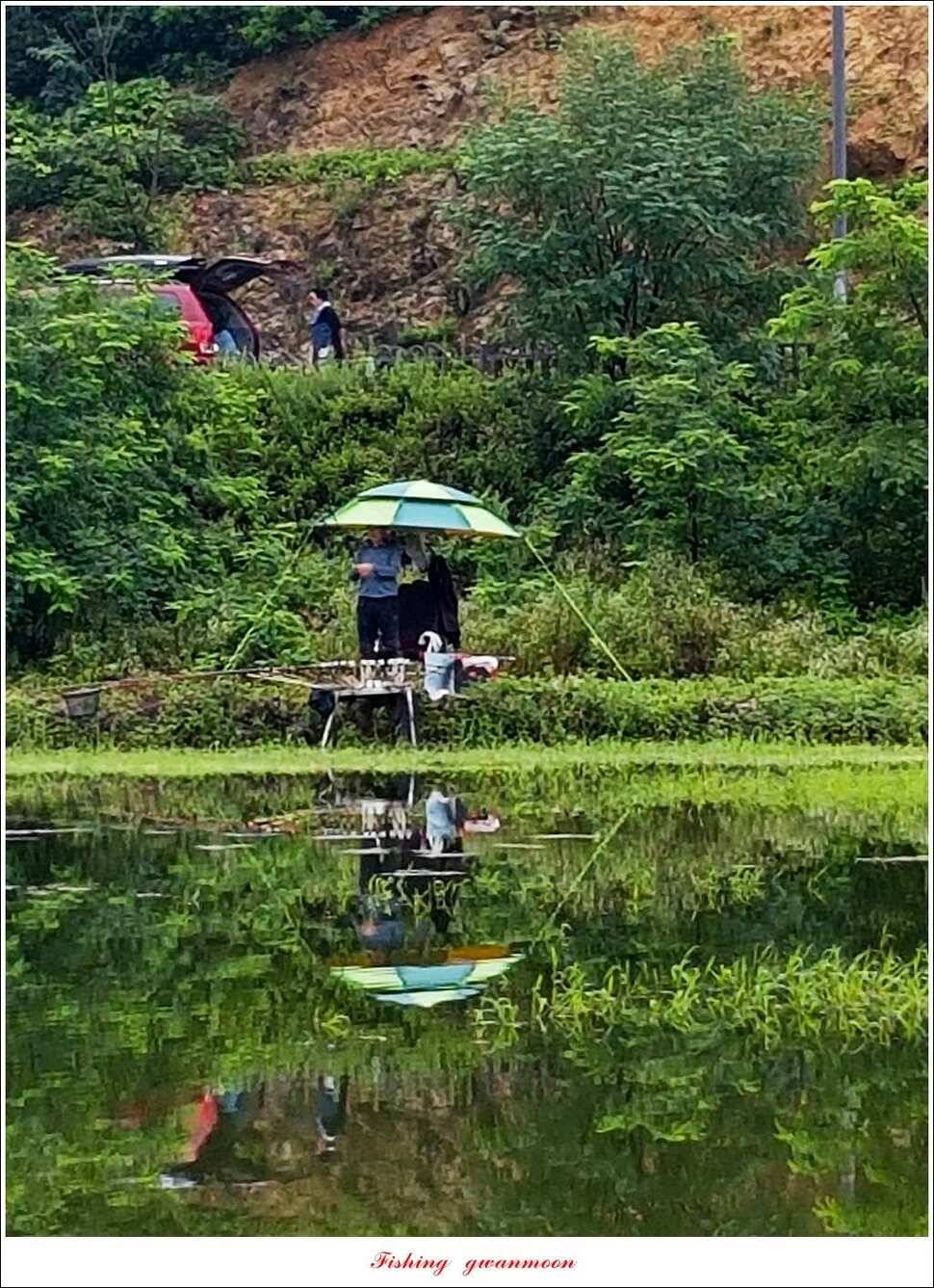 칠성지 사짜매전지화곡지늘푸른 장어 조황 (조황조행기 - 특파원조황)