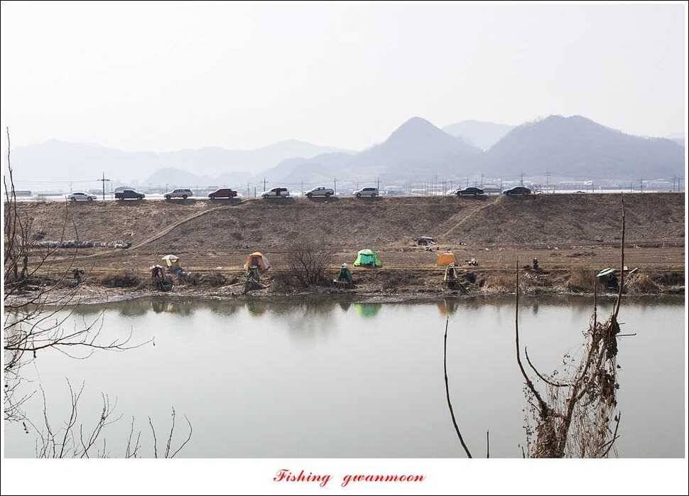 충주괴산권 조황 (조황조행기 - 특파원조황)