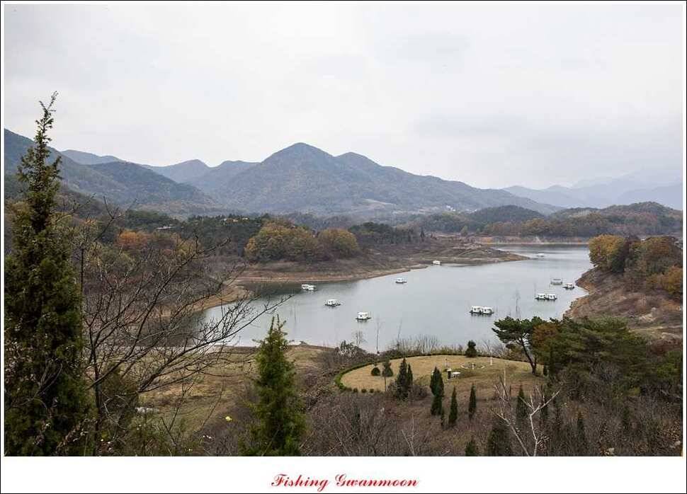 돌감 사짜병호 마릿수 월척실리곡짱가네 월척 조황 (조황조행기 - 특파원조황)