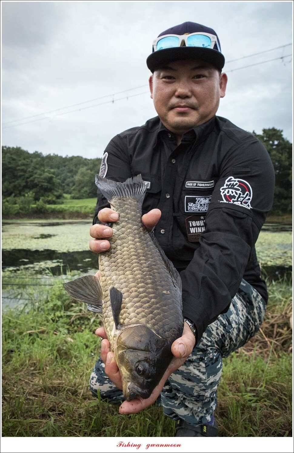 칠성지 사짜한버들실리곡돌감소류지 사짜 조황 (조황조행기 - 특파원조황)