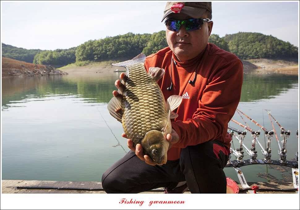한버들 43 cm 40 cm실리곡 43 cm 사짜 대물 (조황조행기 - 특파원조황)