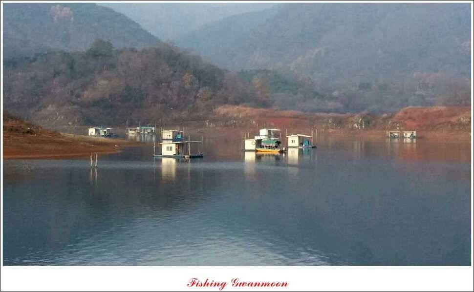 충주호 주말 조황 (조황조행기 - 특파원조황)