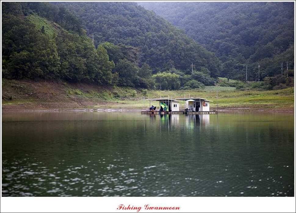 한버들 월척 및 마릿수실리곡 월척충주호 노지 월척 (조황조행기 - 특파원조황)