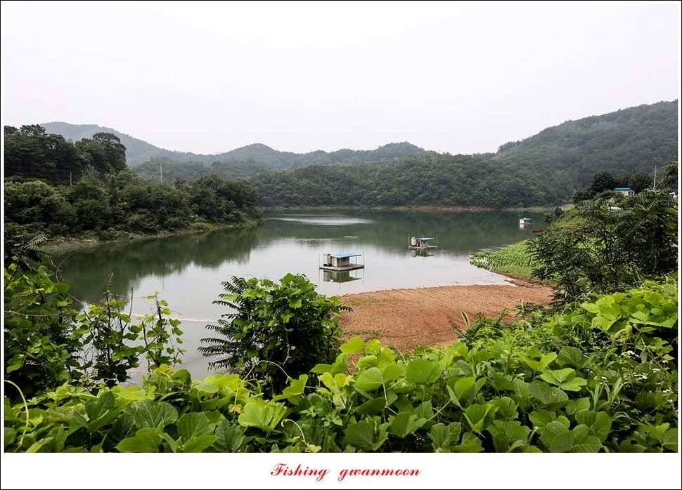 돌감실리곡한버들화곡지 조황 (조황조행기 - 특파원조황)