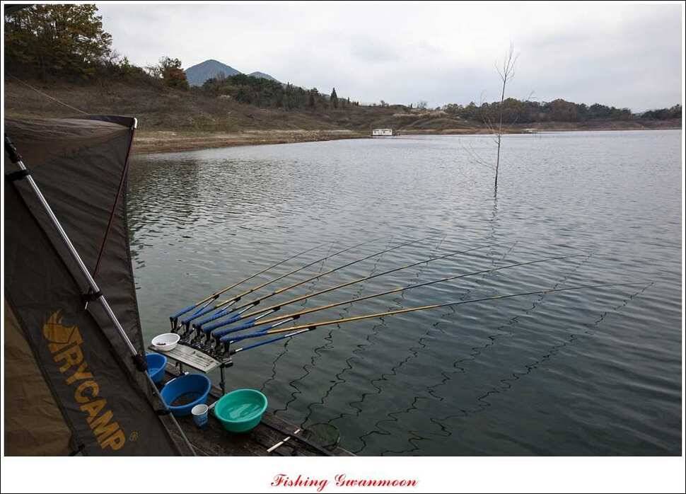 돌감 사짜병호 마릿수 월척실리곡짱가네 월척 조황 (조황조행기 - 특파원조황)