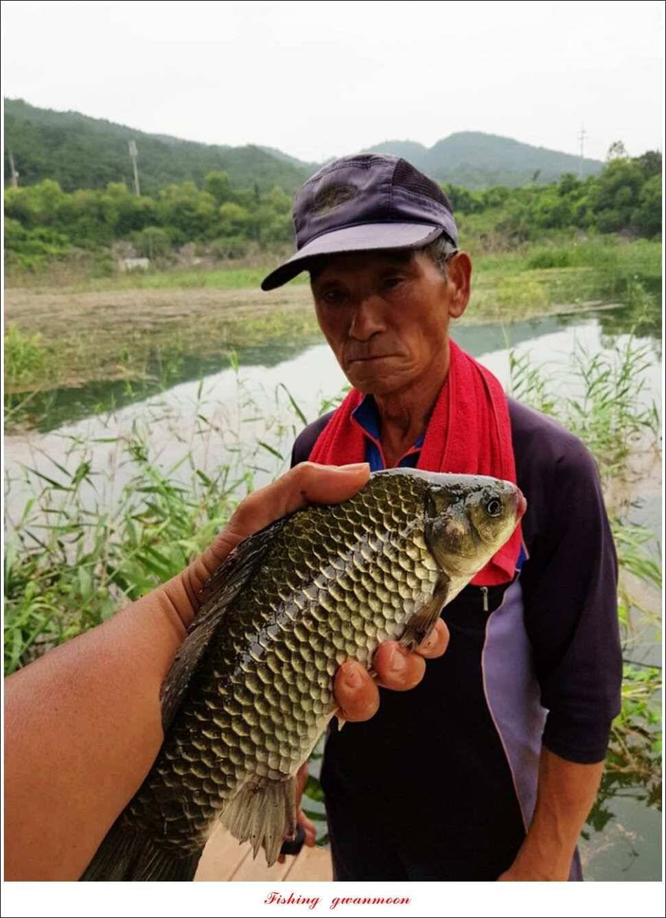 돌감실리곡한버들화곡지 조황 (조황조행기 - 특파원조황)
