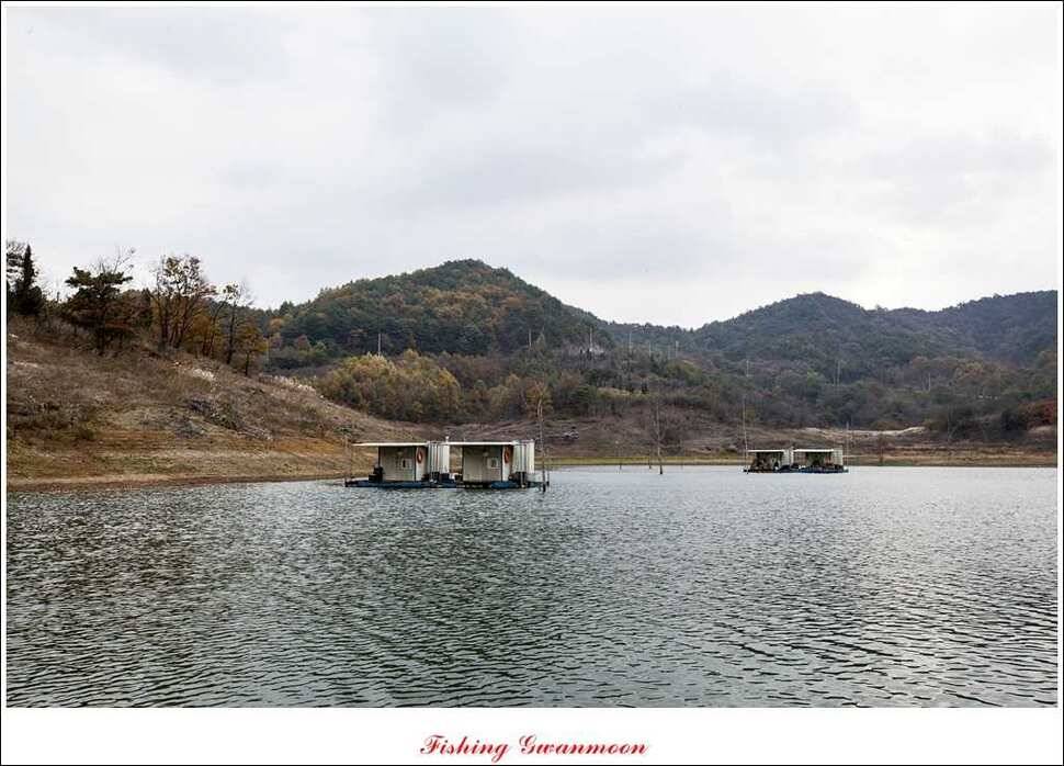 돌감 사짜병호 마릿수 월척실리곡짱가네 월척 조황 (조황조행기 - 특파원조황)