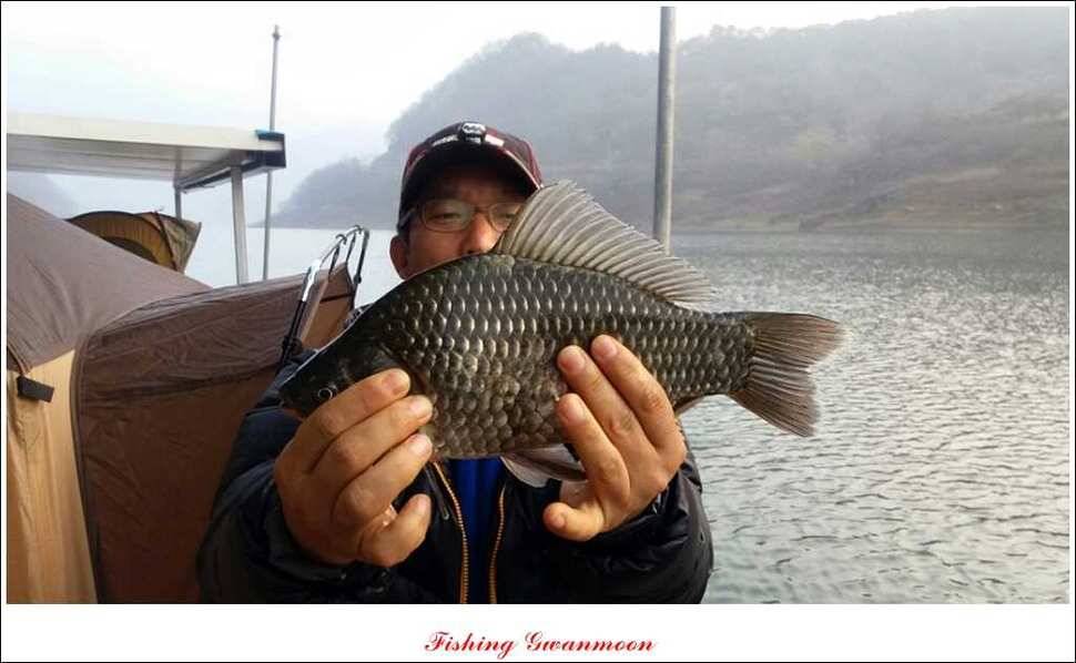 충주호 주말 조황 (조황조행기 - 특파원조황)