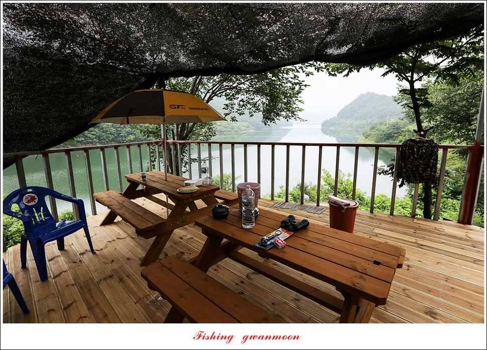 돌감실리곡한버들화곡지 조황 (조황조행기 - 특파원조황)