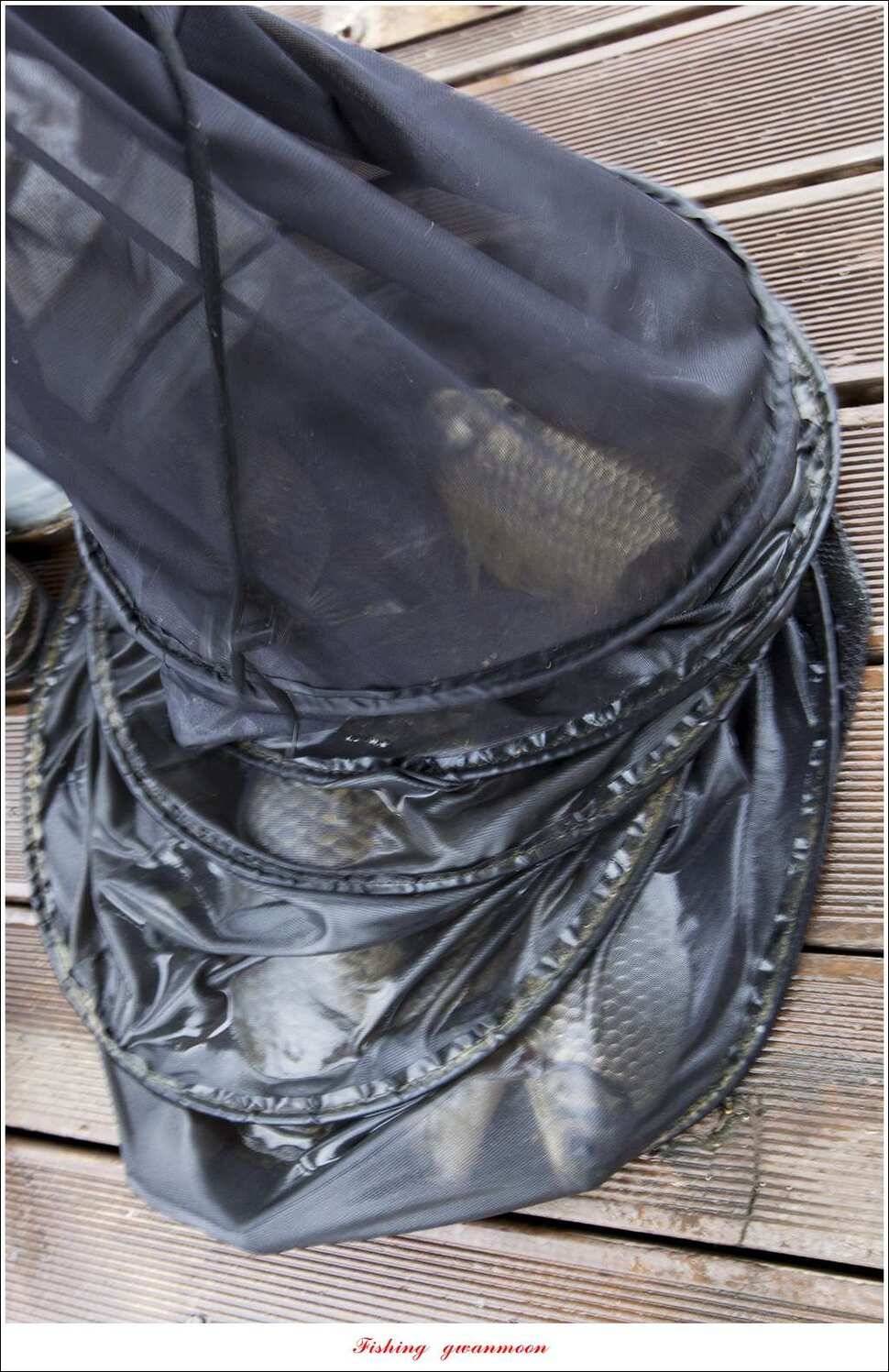 한버들 사짜 및 월척 대박화곡지 사짜신매 월척실리곡 월척 (조황조행기 - 특파원조황)