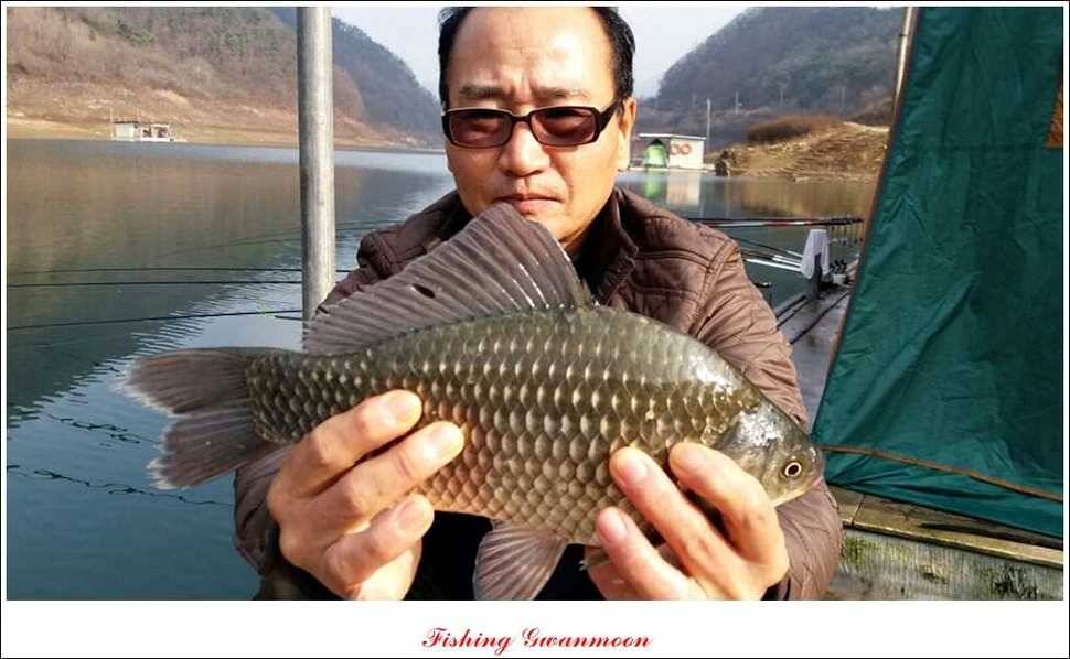 충주호 주말 조황 (조황조행기 - 특파원조황)