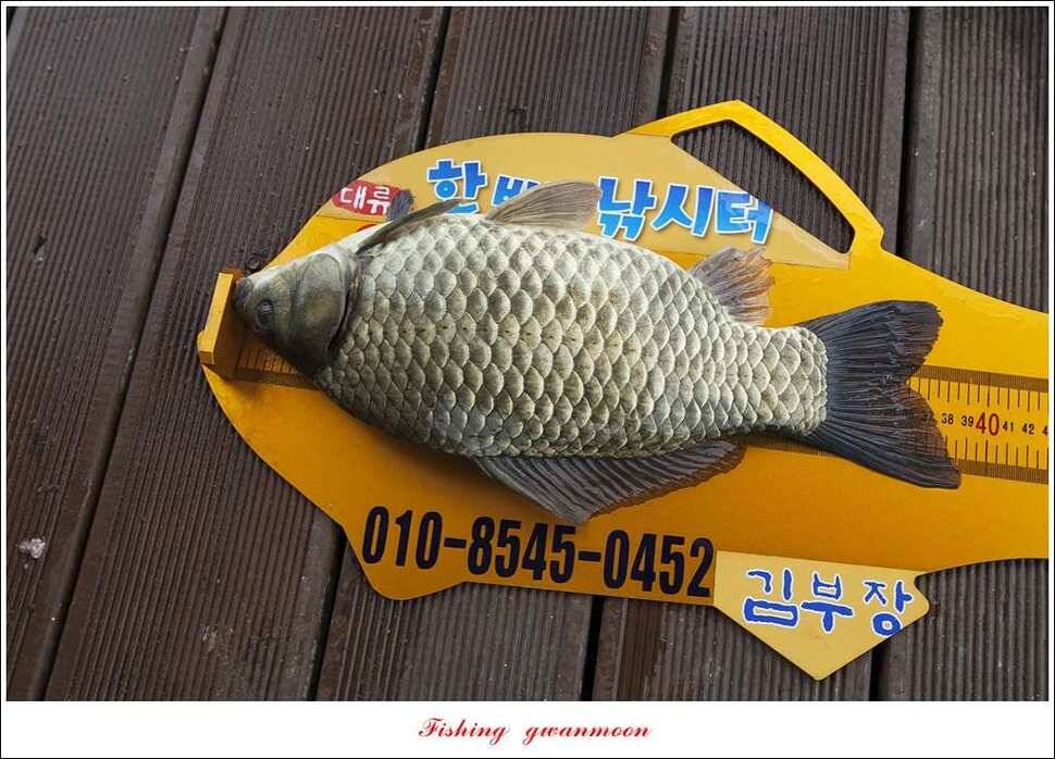 한버들 사짜 및 월척 대박화곡지 사짜신매 월척실리곡 월척 (조황조행기 - 특파원조황)