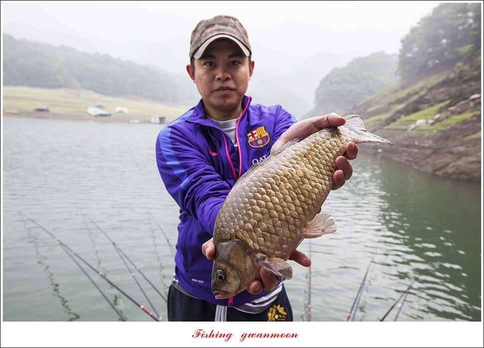 문골 41 cm 사짜 대물한버들 39 cm 조황 소식 (조황조행기 - 특파원조황)