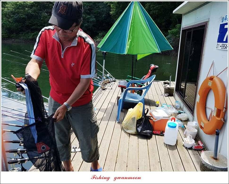 칠성지 사짜매전지화곡지늘푸른 장어 조황 (조황조행기 - 특파원조황)