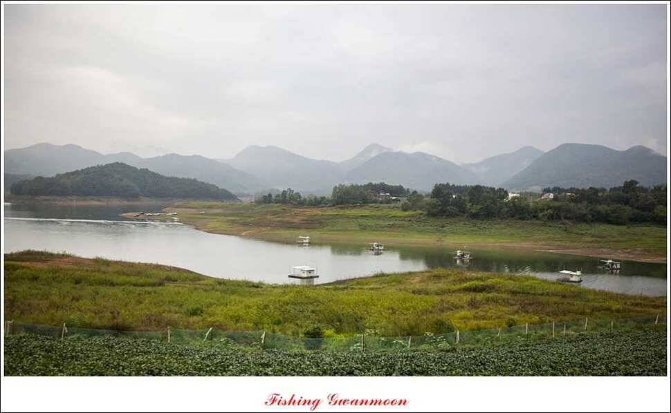 한버들 월척 및 마릿수실리곡 월척충주호 노지 월척 (조황조행기 - 특파원조황)