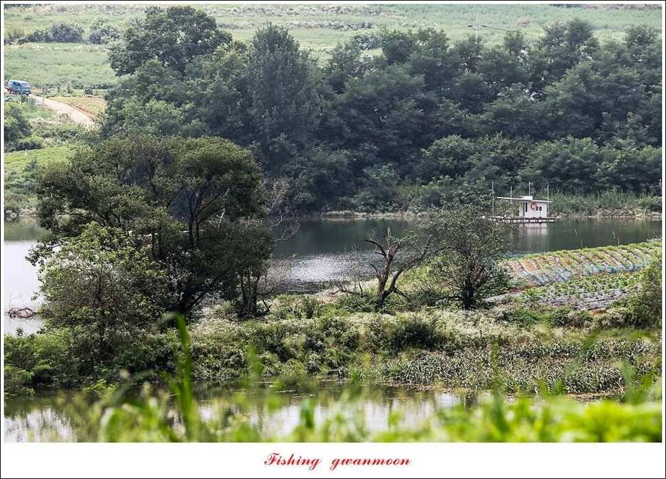돌감실리곡한버들화곡지 조황 (조황조행기 - 특파원조황)