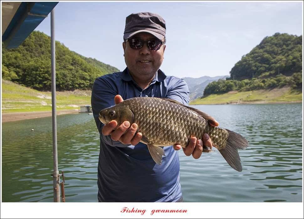 한버들 43 cm 40 cm실리곡 43 cm 사짜 대물 (조황조행기 - 특파원조황)