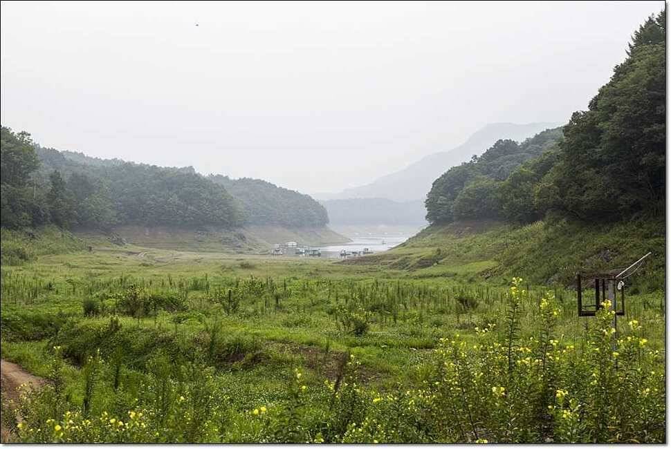 신매 낚시터 월척 (조황조행기 - 특파원조황)