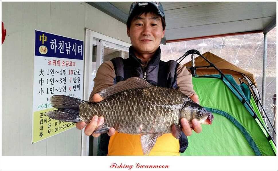 충주호 주말 조황 (조황조행기 - 특파원조황)