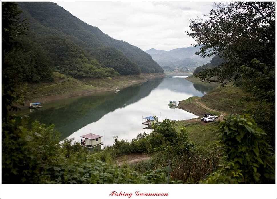 한버들 월척 및 마릿수실리곡 월척충주호 노지 월척 (조황조행기 - 특파원조황)