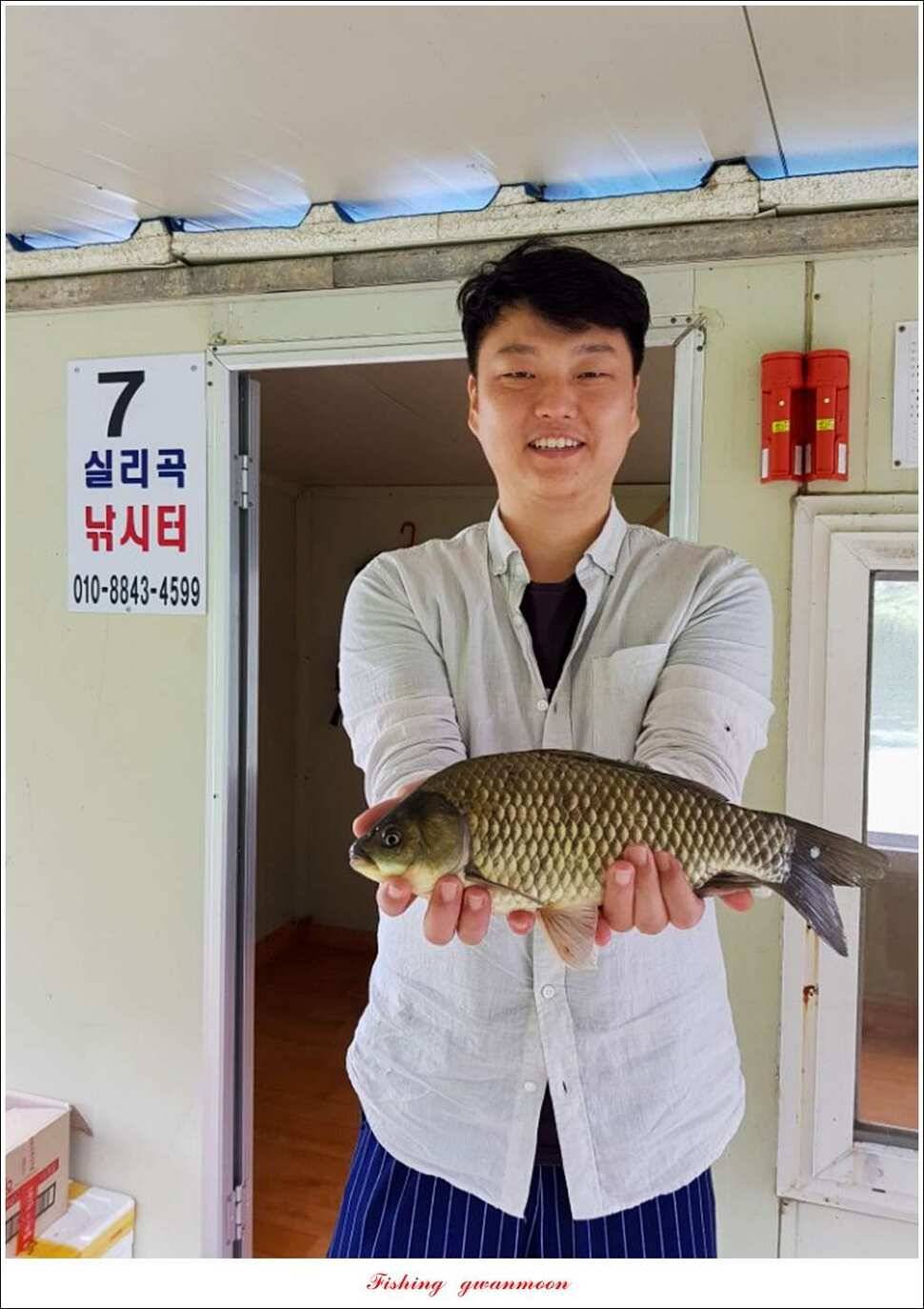 돌감실리곡한버들화곡지 조황 (조황조행기 - 특파원조황)