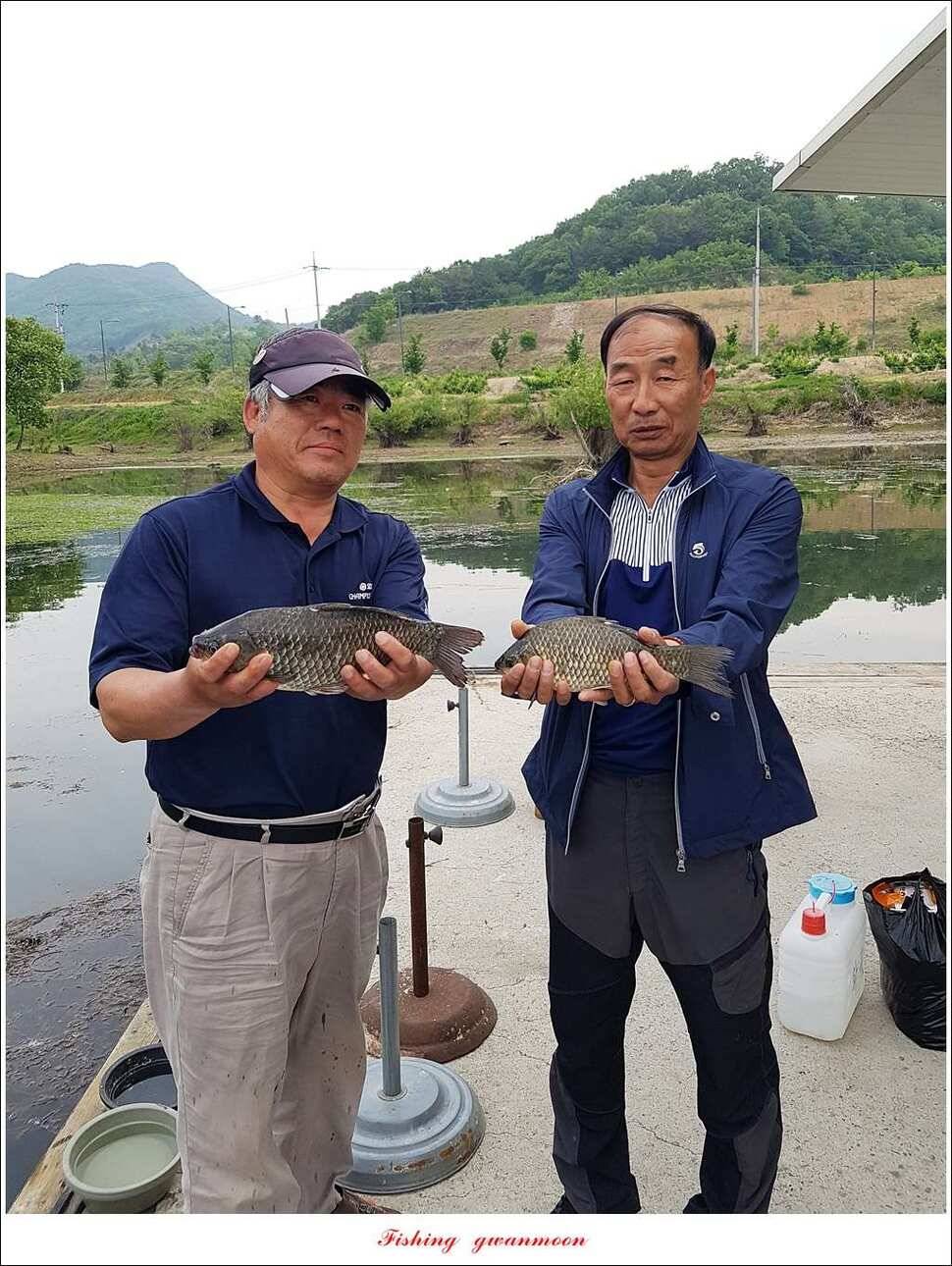 한버들 사짜 및 월척 대박화곡지 사짜신매 월척실리곡 월척 (조황조행기 - 특파원조황)