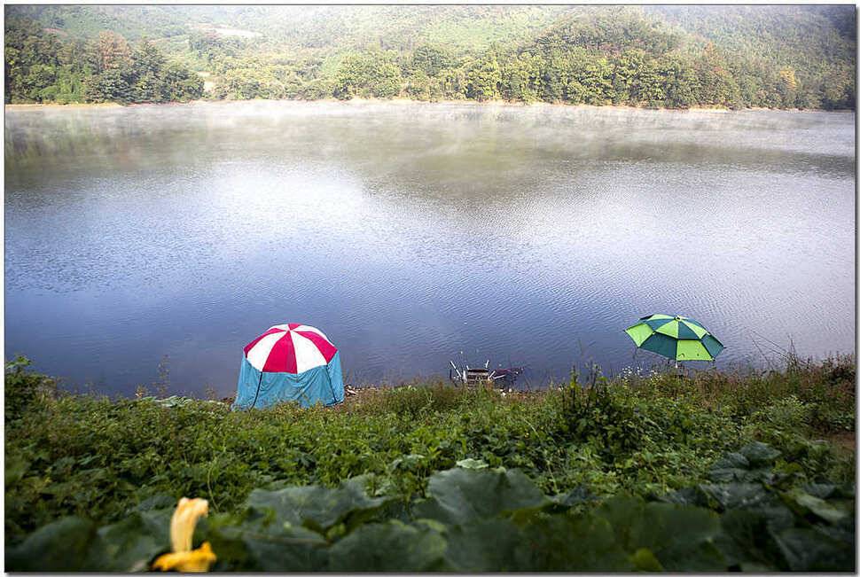 추산지 마릿수명서 46 cm 대물 (조황조행기 - 특파원조황)