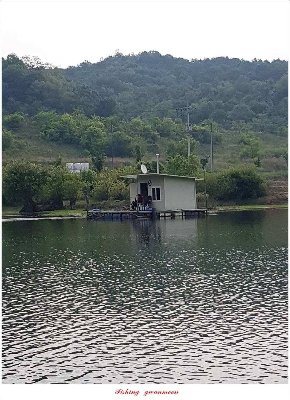 한버들 사짜 및 월척 대박화곡지 사짜신매 월척실리곡 월척 (조황조행기 - 특파원조황)