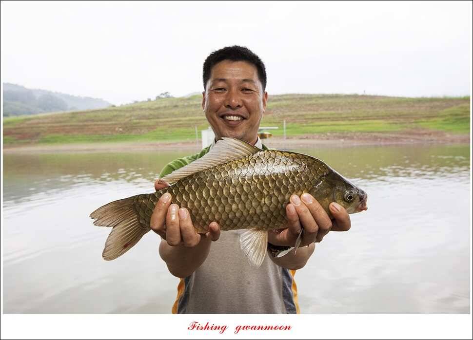 한버들 41 cm405 cm실리곡 마릿수 조황 (조황조행기 - 특파원조황)
