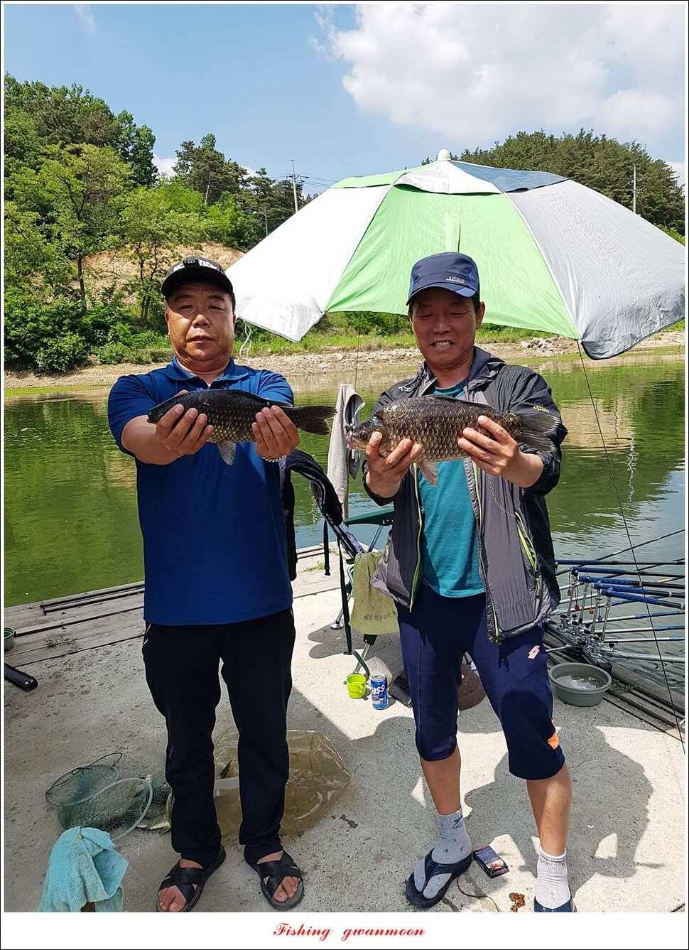 한버들 사짜 및 월척 대박화곡지 사짜신매 월척실리곡 월척 (조황조행기 - 특파원조황)
