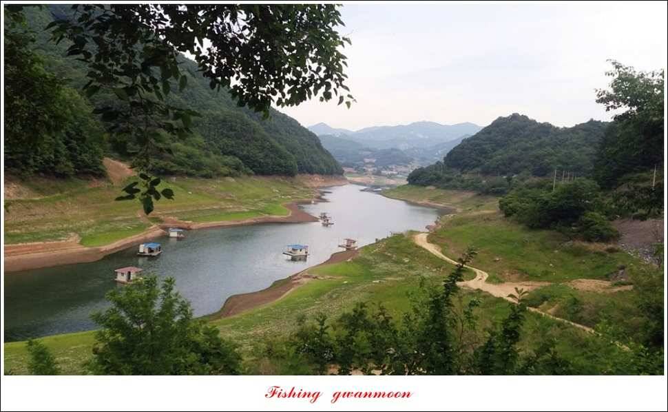 한버들 사짜 및 월척 대박화곡지 사짜신매 월척실리곡 월척 (조황조행기 - 특파원조황)