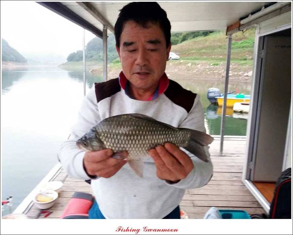 한버들 월척 및 마릿수실리곡 월척충주호 노지 월척 (조황조행기 - 특파원조황)