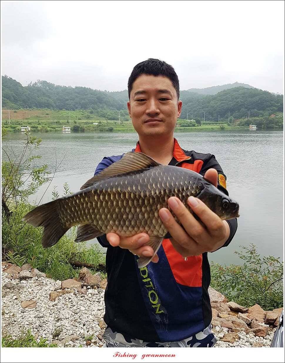 돌감실리곡한버들화곡지 조황 (조황조행기 - 특파원조황)