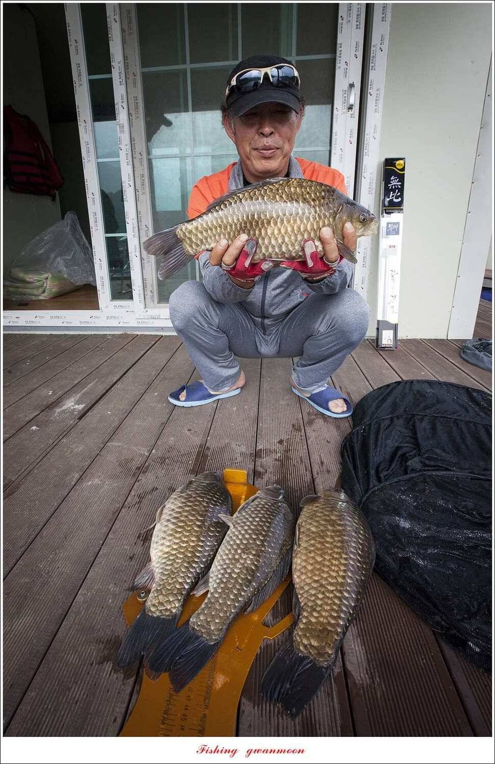 병호 45 cm제일 43 cm 외3 수한버들 42 cm (조황조행기 - 특파원조황)